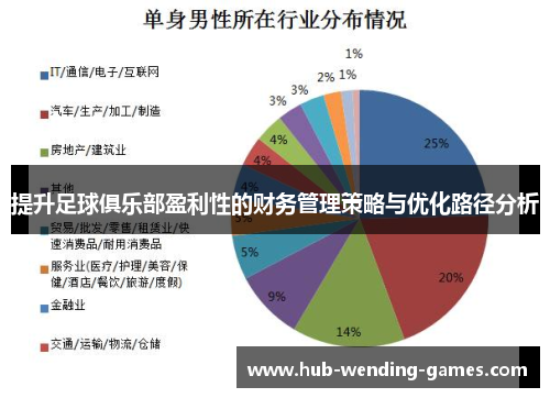 提升足球俱乐部盈利性的财务管理策略与优化路径分析 提升足球俱乐部盈利性的财务管理策略与优化路径分析