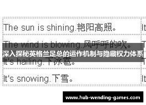 深入探秘英格兰足总的运作机制与隐藏权力体系