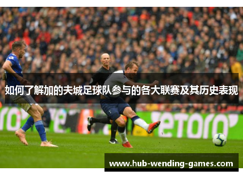 如何了解加的夫城足球队参与的各大联赛及其历史表现